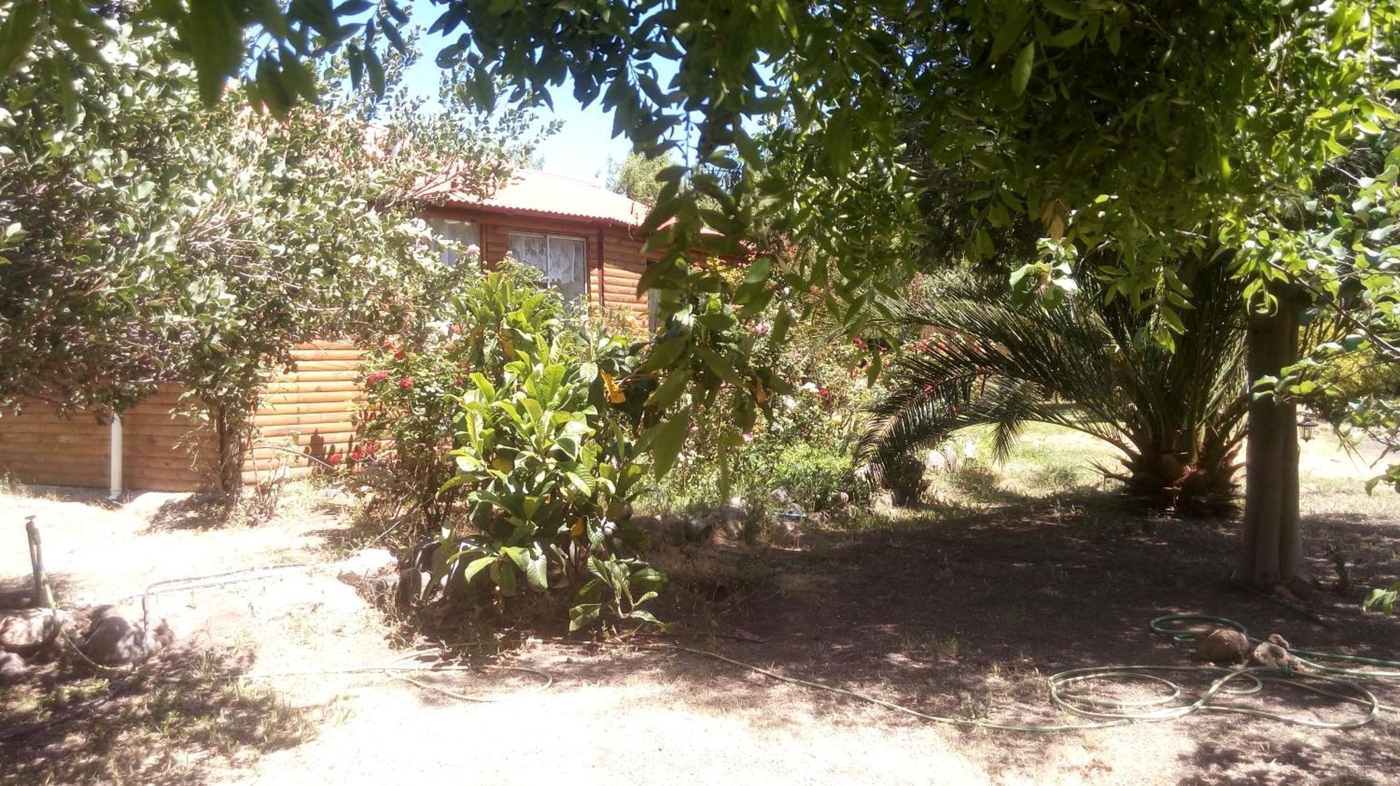 Cabanas Cipres Guayacan  Kültér fotó